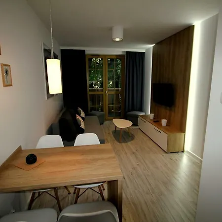 Apartment Podgorze