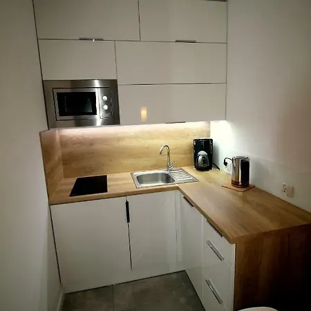 Podgorze Apartment